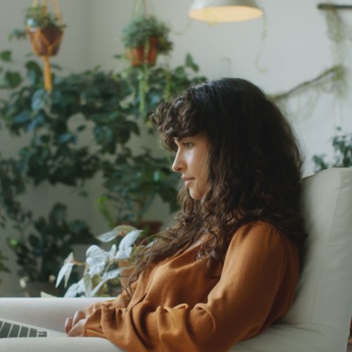 ¿Cómo proteger tus plantas en una mudanza?